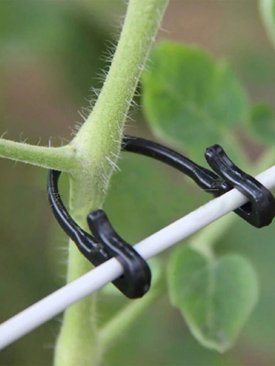 50pcs Plastic Plant Fixing Clip For Tomato Support & Grape Frame & Vineyard Mesh Buckle & Horticultural Agriculture Binding Line - Black - View 1