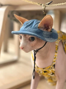 1入組藍色寵物帽子 - 藍色 - 查看 1