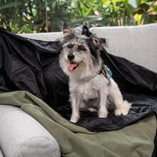 1pc ACUSHLA Large Waterproof Outdoor Blanket, Potable Camping Blanket For Cold Weather, Quilted Fleece, Great For Stadium, Picnic, Sport, Pet, Windproof And Washable, 57''X 79'' Green Large Waterproof Outdoor Stadium Blanket, Windproof And Warm Double Sided Fleece Throw, Great For Cold Weather Camping,Picnic,Sports,Festivals,Dogs,Outdoor Decor - 軍綠色 - 查看 2