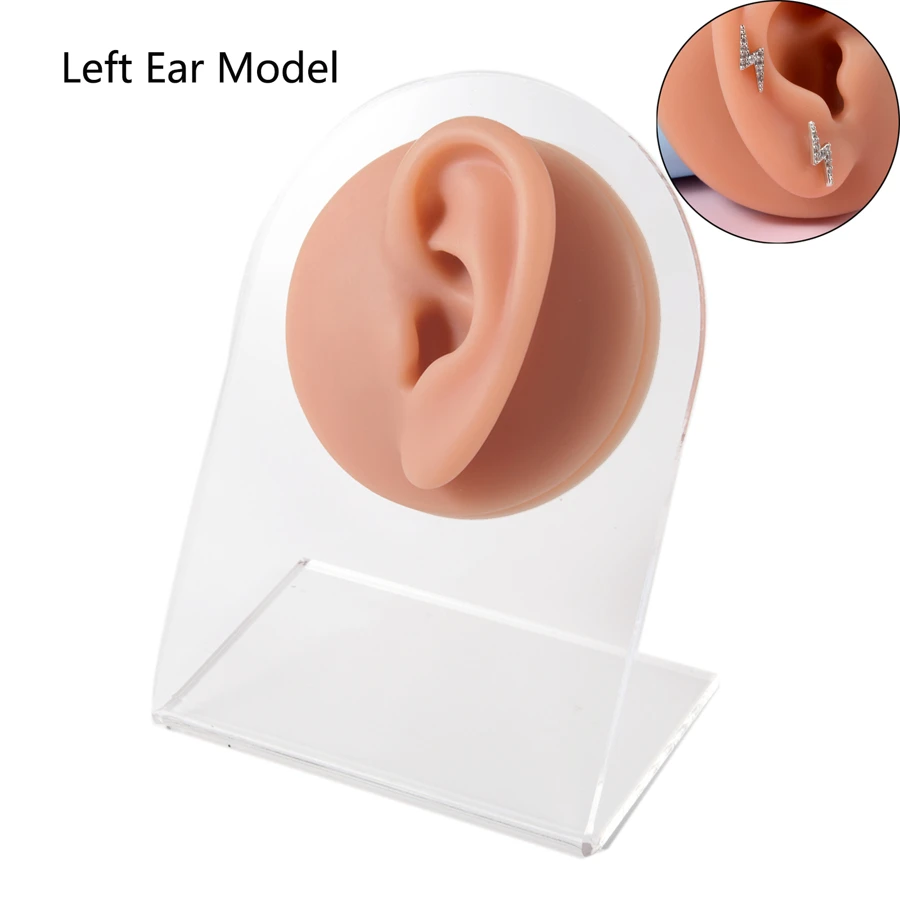 1套軟彈性矽膠棕色左耳模型和展示板，用於日常穿孔練習和教學展示