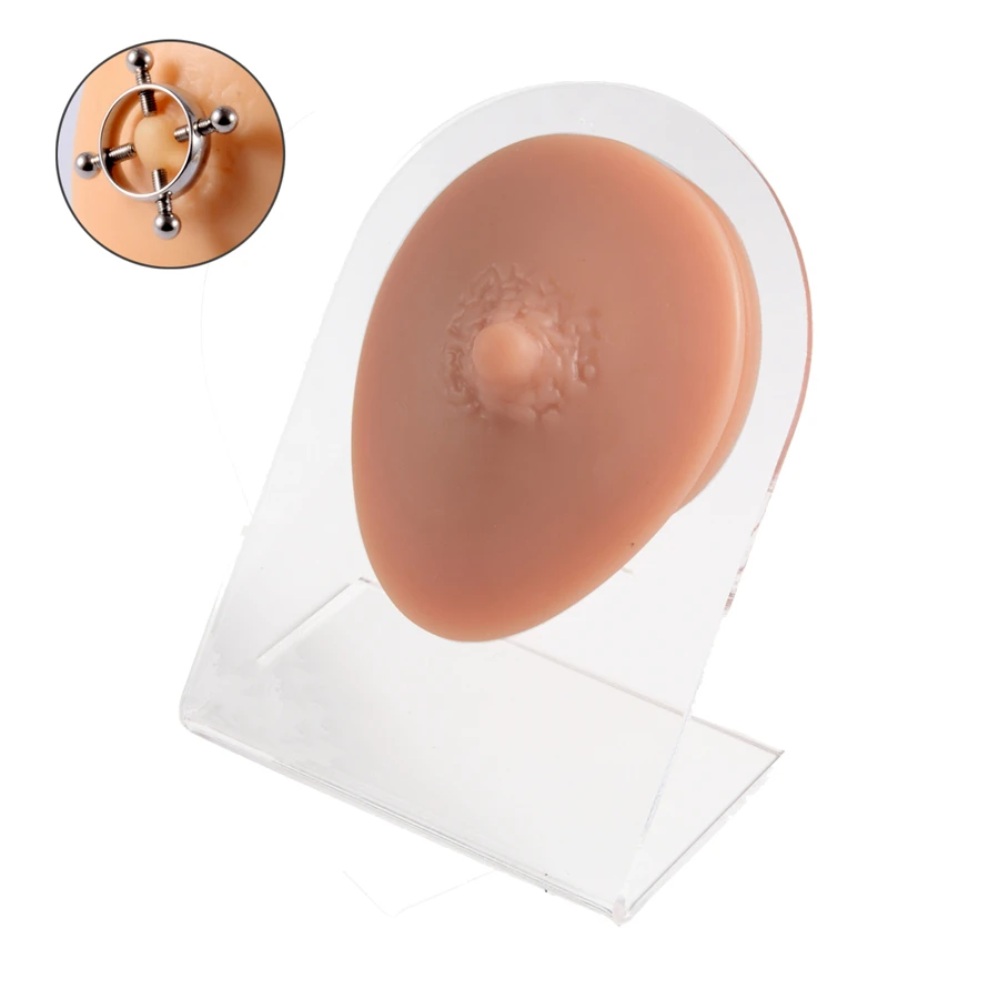 1套軟彈性矽膠棕色模型和展示板，用於日常穿孔練習和演示教學 - 乳+展示板 - 查看 1