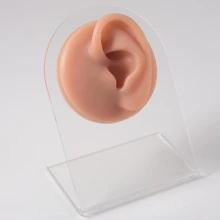 1套軟彈性矽膠棕色左耳模型和展示板，用於日常穿孔練習和教學展示