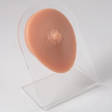 1套軟彈性矽膠棕色模型和展示板，用於日常穿孔練習和演示教學 - 乳+展示板 - 查看 2