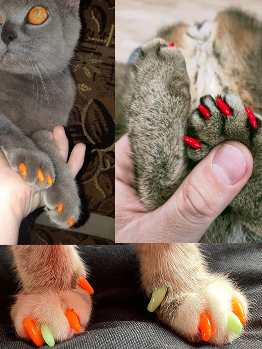 20pcs Cat Nail Caps With Adhesive And Applicator, Soft Claws For Nail Beauty - Orange - View 1