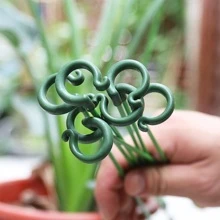 10 件装植物支撑桩，花园单茎花卉植物支撑，植物笼支撑环，植物棒，室内植物桩，孤挺花兰花牡丹番茄花，园艺工具，园艺工具 - 綠色 - 查看 10