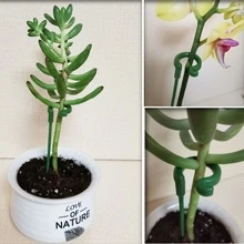 10 件装植物支撑桩，花园单茎花卉植物支撑，植物笼支撑环，植物棒，室内植物桩，孤挺花兰花牡丹番茄花，园艺工具，园艺工具 - 綠色 - 查看 4