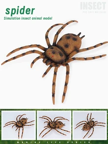 Niños 1 pieza Juguete en forma de araña - Multicolor - Ver 4