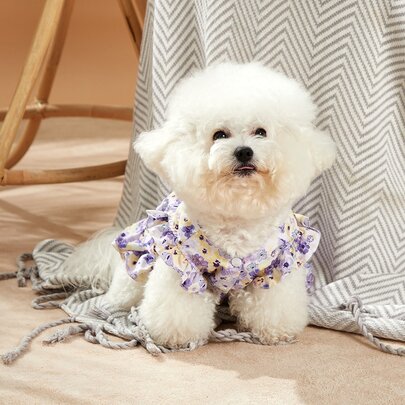 PETSIN 1入組向日葵&公主風泡泡袖寵物連衣裙適合夏天