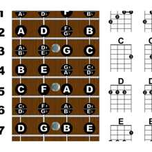 Ukulele Fretboard Chord Wall Chart Poster Chords Soprano Concert Tenor Beginner - White - View 3