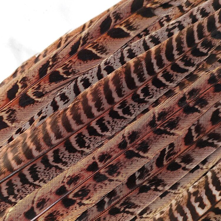 10pcs Wild Turkey Tail Feathers - Brown - View 5