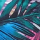 Teal Blue