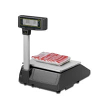 RHINO Báscula Etiquetadora, 30kg, BAET-30 - Gris - Ver 2