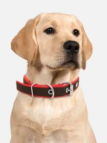 Supet Fashionable Solid Color Pet Collar