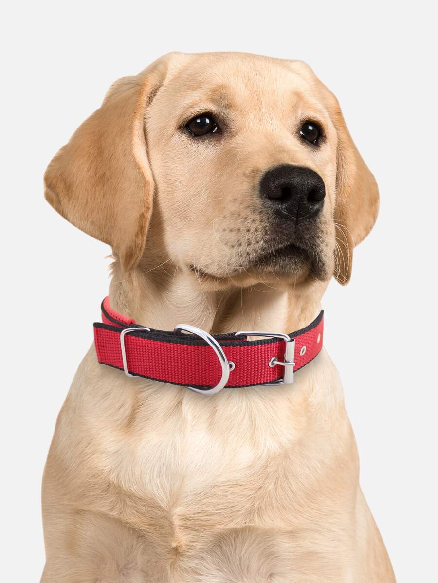 Supet Fashionable Solid Color Pet Collar