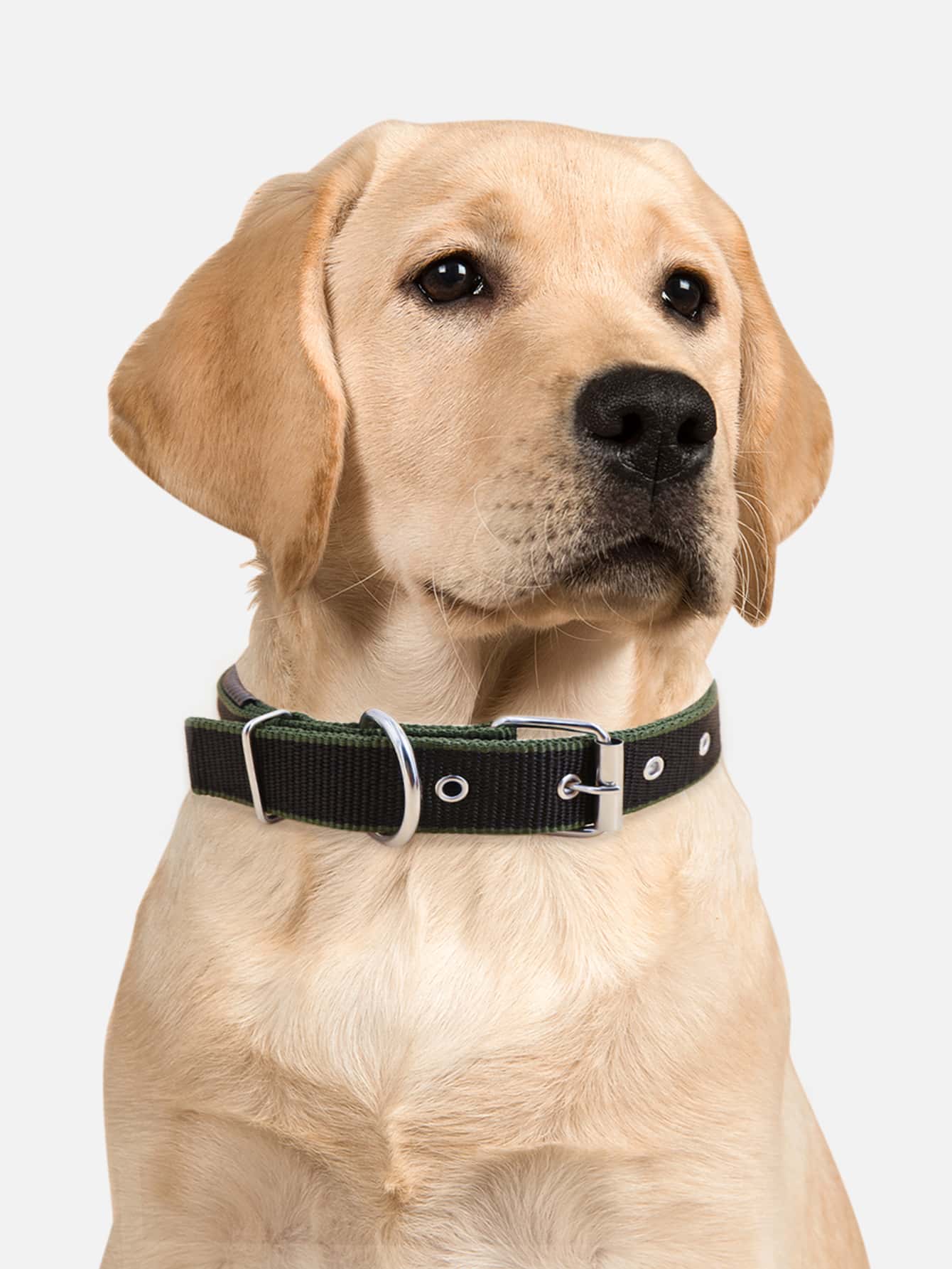 Supet 1 cổ áo thú cưng ràng buộc tương phản - xanh quân đội - Xem 1