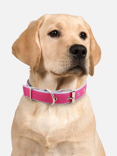 Supet Fashionable Solid Color Collar