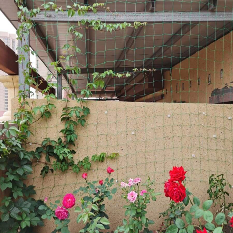 1入組花園植物攀登網狀適用於瓜,水果,喇叭花,藤蔓和其他攀登植物 - 綠色 - 查看 1