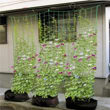 1入組花園植物攀登網狀適用於瓜,水果,喇叭花,藤蔓和其他攀登植物 - 綠色 - 查看 6