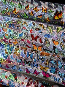 10入組50厘米激光蝴蝶指甲箔美甲轉印箔紙裝飾 - 彩色 - 查看 3