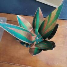 Agave verde americana jardín decoraciones - Verde - Ver 3