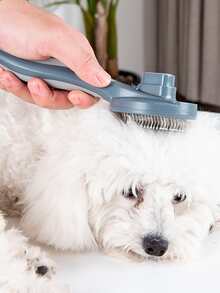 Pet Hair Combs & Brushes - 灰色 - 查看 7
