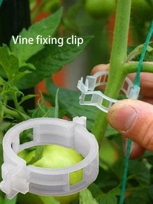 50pcs Plastic Plant Clips Hami Melon Clips For Vine, Stem, And Vines, Fixed Clamp For Garden - Clear - View 3