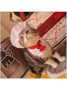 1 件带兜帽的猫狗宠物厨师斗篷，有趣的宠物服装服饰配件 - 白色 - 查看 3