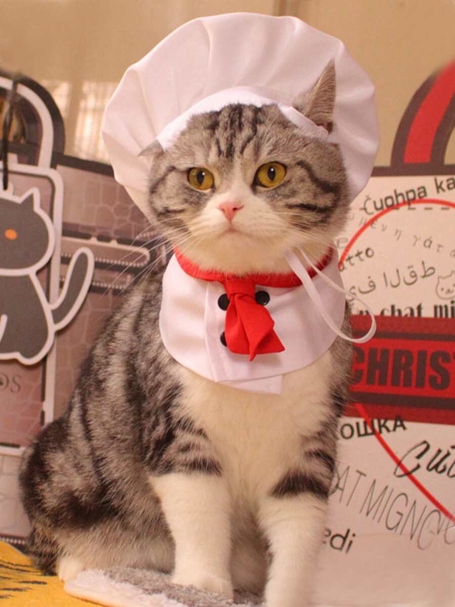 1 件带兜帽的猫狗宠物厨师斗篷,有趣的宠物服装服饰配件 - 白色 - 查看 1