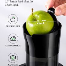 Exprimidores - Gris - Ver 2