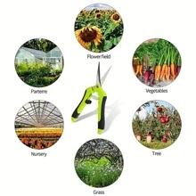 1 件不銹鋼剪刀、花枝剪、家用修剪手動工具、園藝和草坪護理、庭院用品