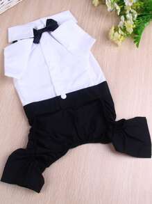 1 件黑白 2 合 1 宠物衬衫套装和四脚裤，适合猫狗，所有季节 - 黑與白 - 查看 5