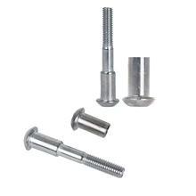 cierre Tornillos ( Set de dos ) - Plateado - Ver 6