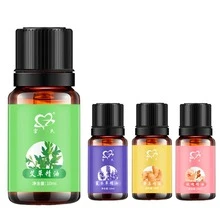 Rose Essential Oil Spa Pressure Back Moderate Ginger Essential Oil Body Massage 10ml - Green - View 2