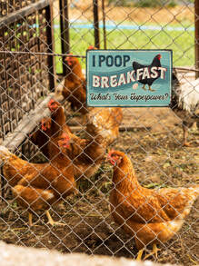 Putuo Decor 1入組復古金屬標誌,迷人掛畫復古牌匾適用於客廳臥室,7.8X11.8英寸女士和兒童禮物 - 彩色 - 查看 2