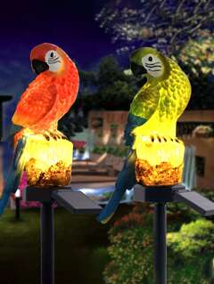 Tools & Home Improvement