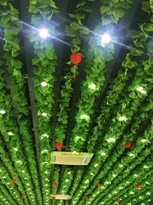 1pc Plastic Artificial Ivy Leaf - Green - View 3