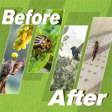 1pc Garden Mesh Netting Mosquito Netting, Plant Covers Bird Netting Protection Netting For Vegetable Fruits, Row Cover Raised Garden Bed Cover Screen Netting - White - View 3