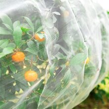 1pc Garden Mesh Netting Mosquito Netting, Plant Covers Bird Netting Protection Netting For Vegetable Fruits, Row Cover Raised Garden Bed Cover Screen Netting - White - View 10