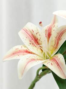 1pc Artificial Lily Stem,Simple Polyester Fake Flower For Home Decoration, Valentine Day, Gift Gifts Birthday Graduation - Champagne - View 3