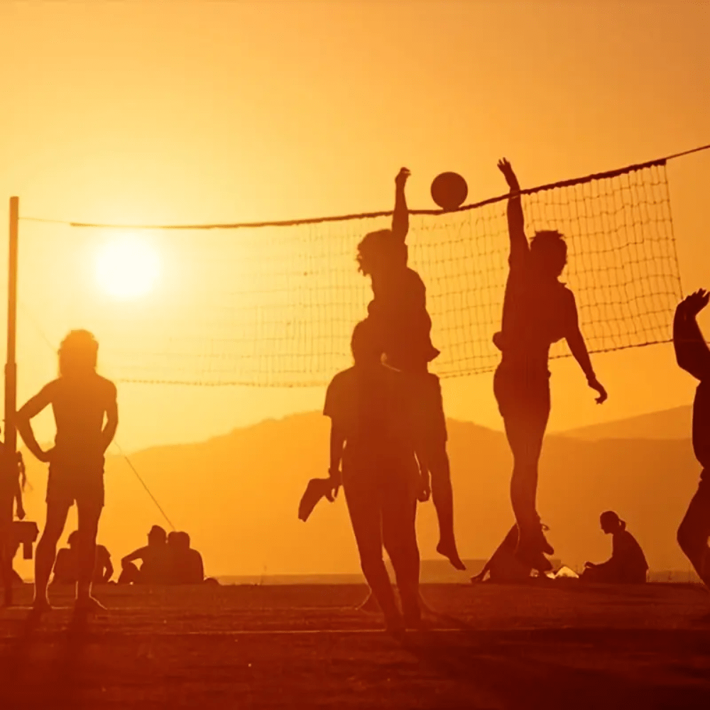 Green Badminton Net SHEIN USA