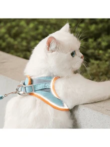 Khai thác và khai thác thú cưng lưới màu hồng thoáng khí - Hồng - Xem 7
