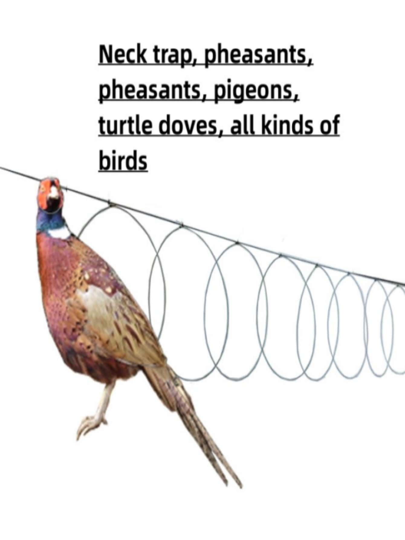 Bucle De Cuello Trampa De Caza Al Aire Libre - Bronce - Ver 1