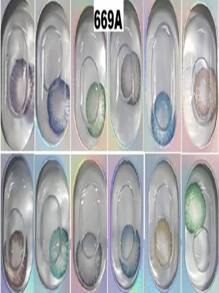 24 PCS DS.  FLOWER  BEAUTIFUL PUPIL LENTES DE CONTACTO  PARA LA PROTECCIÓN OCULAR, LANZAMIENTO DIARIO