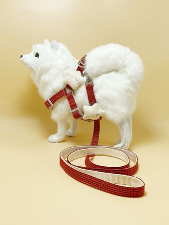 件寵物胸部和背部牽引繩海星毛絨動物寵物牽引繩印有可調式項圈多種顏色