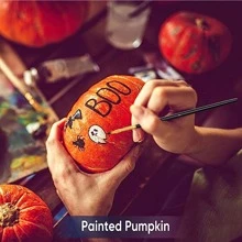 油漆刷套裝，2 件裝 20 件圓形尖頭畫筆尼龍毛藝術家丙烯酸油漆刷，適用於丙烯酸油水彩、面部美甲藝術、微型細節和岩石繪畫，黑色 - 黑色 - 查看 6