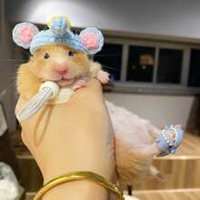 Zapatos gracioso dulce tiburón para de mascota hámsters sesión de fotos - Azul - Ver 1