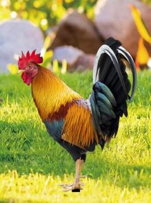 1入組雞設計園林裝飾擺件 - 棕色 - 查看 1