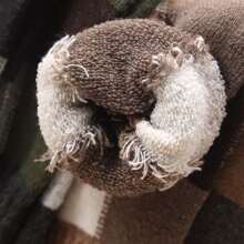 5 雙裝男士秋冬加厚保暖中筒襪 - 彩色 - 查看 3