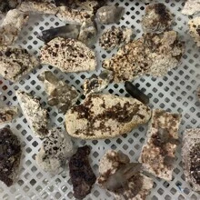 granate mineral cristal enseñando - Granate - Ver 10