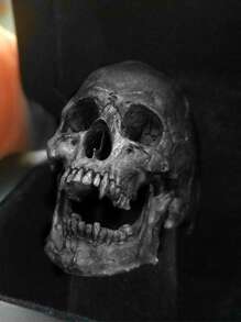 1入組個性化復古骷髏形狀戒指適合男士 - 黑色 - 查看 1